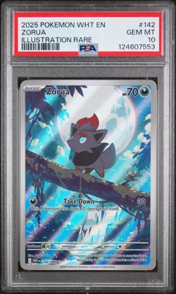 2025 POKEMON WHT EN-WHITE FLARE ILLUSTRATION RARE #142 ZORUA PSA 10 - Image 1