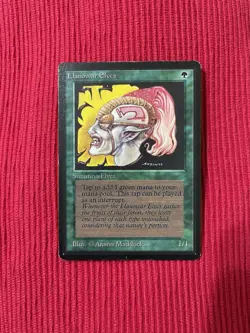 MTG Magic The Gathering Beta Llanowar Elves LP - Image 1