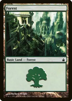 10x FOREST basic lands (mixed art) - LP - Ravnica: City of Guilds SPARROW MAGIC - Image 4