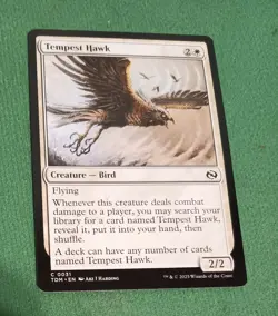 MTG - Tempest Hawk - Tarkir Dragonstorm - #31 - Image 1
