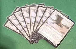 MTG - Tempest Hawk - Tarkir Dragonstorm - #31 - Image 3