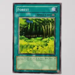 Forest - LOB-046 - LP - Common - Unlimited - Yugioh - Image 1
