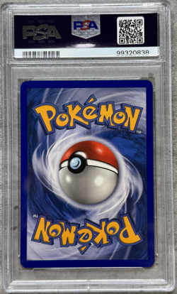 Pokemon Card Torkoal Holo Rare PSA 8 NM-Mint, Ex Dragon #12, 2003 - Image 2
