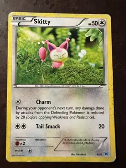 Pokemon TCG Skitty 1/30 (Regular) | XY Latios Trainer Kit 2015 - Image 5