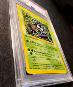Pokemon TANGELA 66/102 1st Edition Shadowless Base set PSA 9 Private - Image 4