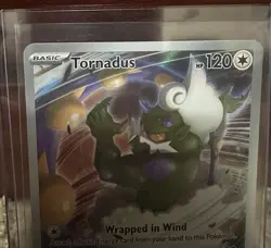 Pokemon Center Stamped White/Black Star Promo Tornadus #210 POTENTIAL PSA 10 - Image 5