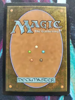 Magic BRUGHIERA FETIDA Vespro EVENTIDE Ita FETID HEATH - MTG - Image 2