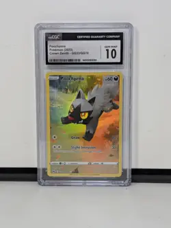 2023 Pokemon Crown Zenith Galarian Gallery Poochyena GG33/GG70 Holo CGC 10 - Image 1