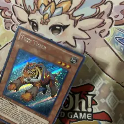 Yugioh! MP Test Tiger - LCGX-EN242 - Secret Rare - 1st Edition Moderately Played - Image 3