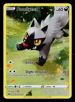 2023 Pokemon Poochyena Crown Zenith Galarian Gallery GG33/GG70 Holo Rare - Image 1