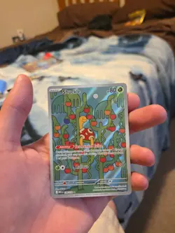 Shuckle 136/132 - ME01: Mega Evolution Pokemon Illustration Rare Holo NM - Image 1