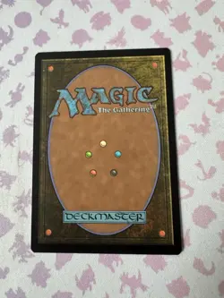 MTG - Paladin-Rustzeug - FIN - 0028 - Image 2