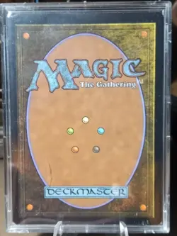 Magic Gathering Secret Lair Drop Series The Ur-Dragon Mint (In Hard Shell Case) - Image 2