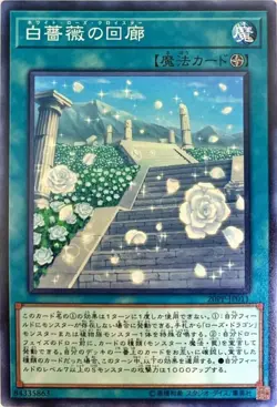 Yugioh Card 20PP-JP011 White Rose Cloister | Normal Japanese - Image 1