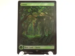 MTG Assassins Creed Full Art Land Cards Foil & Non-Foil You Pick - Image 5