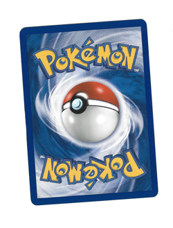 Team Magma's Numel - ex Team Magma vs Team Aqua 64/95 2004 NM Pokemon - Image 2