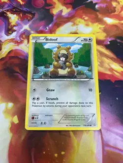 Bidoof 116/160 XY-Primal Clash Regular LP-Lightly Played Pokemon TCG - Image 1