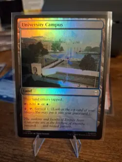 Foil University Campus, MTG, Marvel's Spider-Man, Magic the Gathering, 186 - Image 1