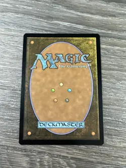 Pain for All (Extended Art FOIL) Rare #337 NM/MINT Edge of Eternities MTG - Image 2