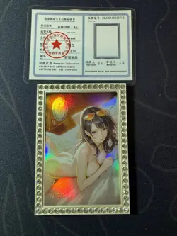 Robin Diamond Card Silver Metal Beautiful Waifu Doujin Case Prize One Piece - Image 1