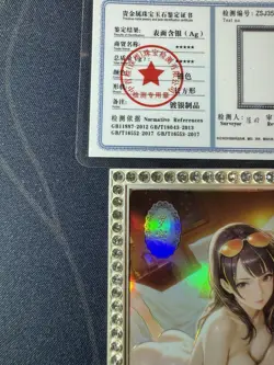 Robin Diamond Card Silver Metal Beautiful Waifu Doujin Case Prize One Piece - Image 2