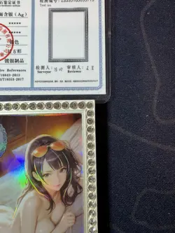 Robin Diamond Card Silver Metal Beautiful Waifu Doujin Case Prize One Piece - Image 3