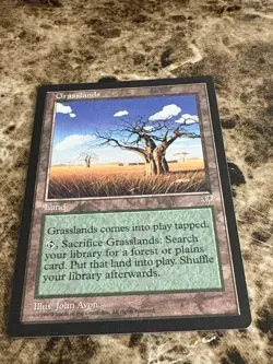 GRASSLANDS Magic the Gathering MTG Mirage LP - Image 1