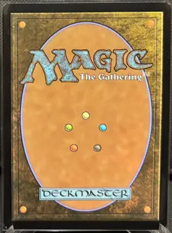 MTG Marvel’s Spider-Man Parker Luck Extended Art Foil (Rare) - Image 2