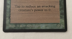 1x Singing Tree Arabian Nights MTG Magic the Gathering LP - Image 4