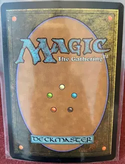 MTG Swamp 291 Shadowmoor Foil Card Shadowmoor Magic Land Warren Mahy - Image 2