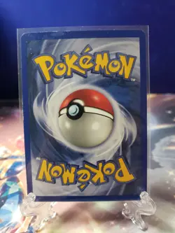 Marill 29 WOTC Black Star Promo Pokemon TCG LP - Image 2