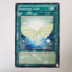 Ancient Leaf - ANPR-EN061 - NM/LP - Common - Unlimited - Yugioh - Image 1