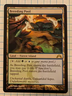 Breeding Pool Gatecrash Non-Foil Card NM Condition - Image 1