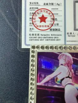 Bartender Rebecca Diamond Card Silver Metal Waifu Doujin Case Prize One Piece - Image 2