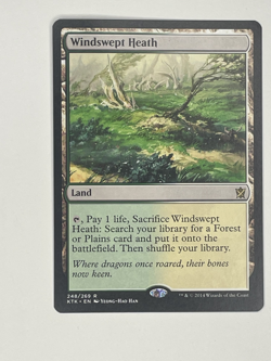 Magic: The Gathering Windswept Heath KTK MP Has some warping - Image 1