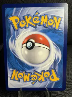 Pokemon TCG S-Chinese Charizard Vmax Promo card 080/S-P Holo Alt Art *Mint - Image 2