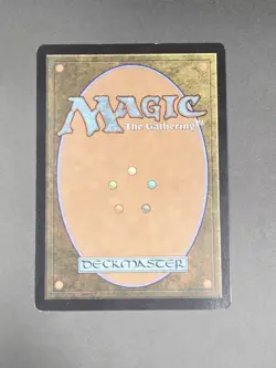 Magic the Gathering MTG Wight (316) Adventures in the Forgotten Realms NM - Image 2