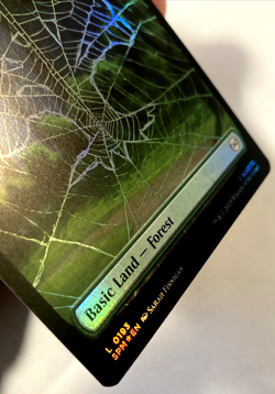 MTG Forest (Foil) Marvel's Spider-Man 193 NM - Image 2