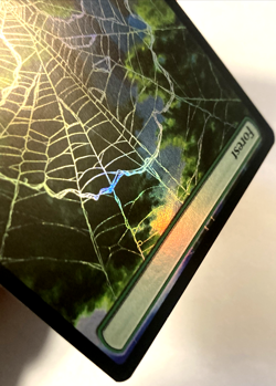 MTG Forest (Foil) Marvel's Spider-Man 193 NM - Image 4