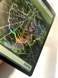 MTG Forest (Foil) Marvel's Spider-Man 193 NM - Image 5