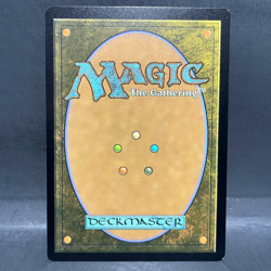 2025 MTG MARVEL'S SPIDER-MAN BORDERLESS SPIDER-PUNK 0207 FOIL (RARE) - Image 2