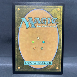 2025 MTG MARVEL'S SPIDER-MAN BORDERLESS WEB-WARRIORS 0203 FOIL (UNCOMMON) - Image 2