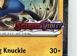 Lucario - 114/198 Pokemon Stamped Scarlet & Violet Premium Collection Promo Card - Image 2