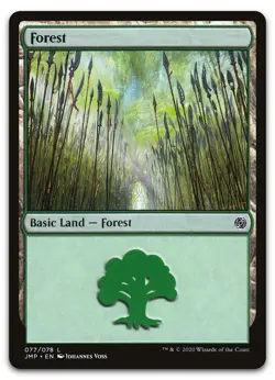 Forest (077) #77 (NM) Jumpstart JMP Magic MTG - Image 1