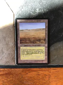 MTG Savanna ⭐BETA ⭐HP+ ⭐15 REAL HQ PICS! ⭐Rare Original Dual Land 1993 Magic - Image 3