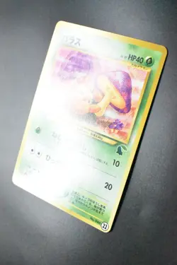 Paras No. 046 11 Chikorita Half Deck 2001 Japanese Pokemon Card - Image 4