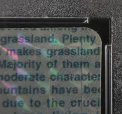 PSA 5 Pokemon Card Charizard #006 Prizm Japanese Bandai Carddass Vending 1996 - Image 4