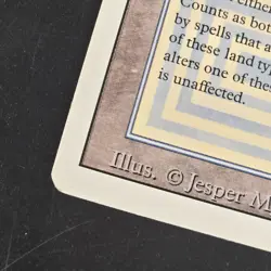 Tundra Revised Edition Regular LP Magic The Gathering MTG RARE Ships FAST - Image 4