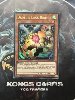 RA02-EN006 Droll & Lock Bird Ultra Rare 1st Edition YuGiOh! NEW Alternative Art - Image 1