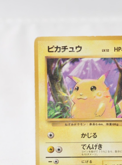 Pokemon card TCG Pikachu No.025 No Rarity Symbol Old Back Base Set Japanese HP - Image 3